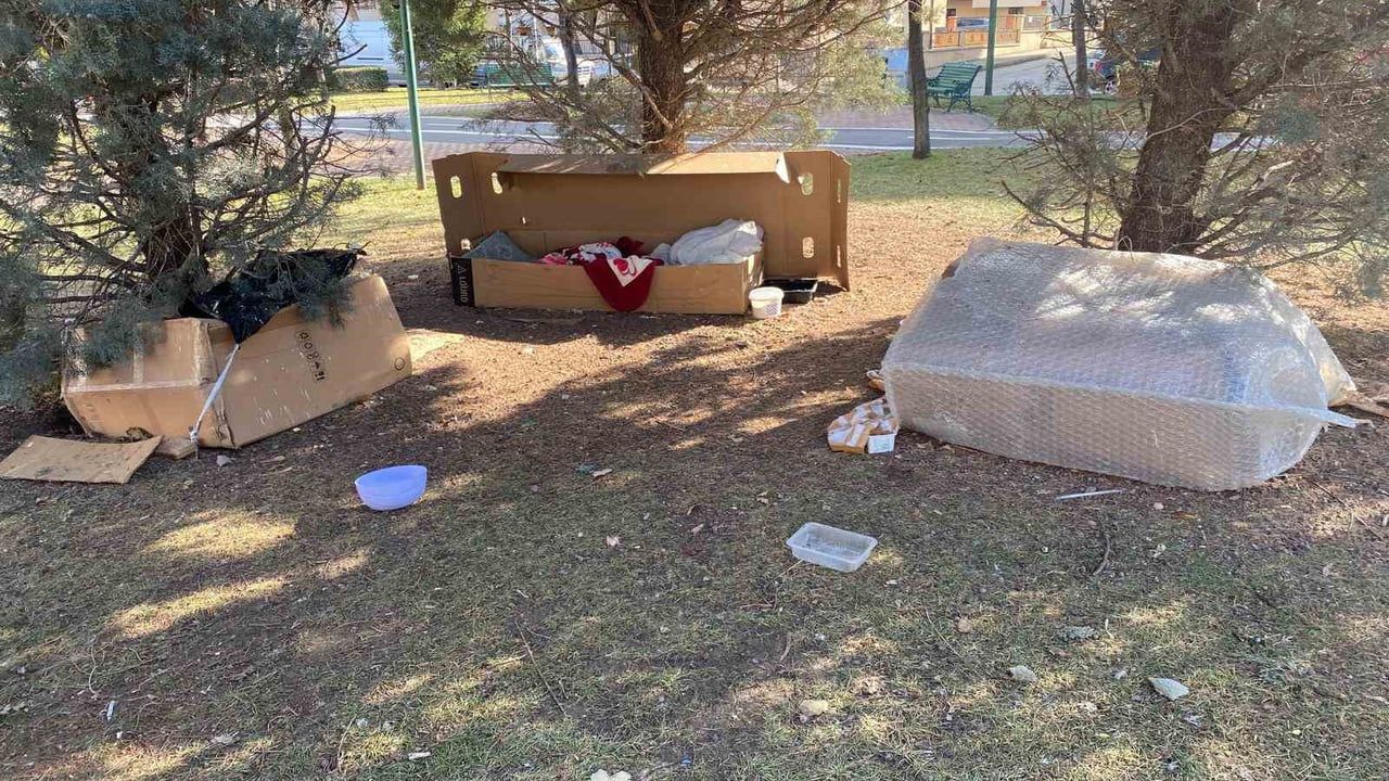 Eskişehir Vişnelik Mahallesi'nde vatandaşlar sokak hayvanları için korunaklı kulübeler hazırladı