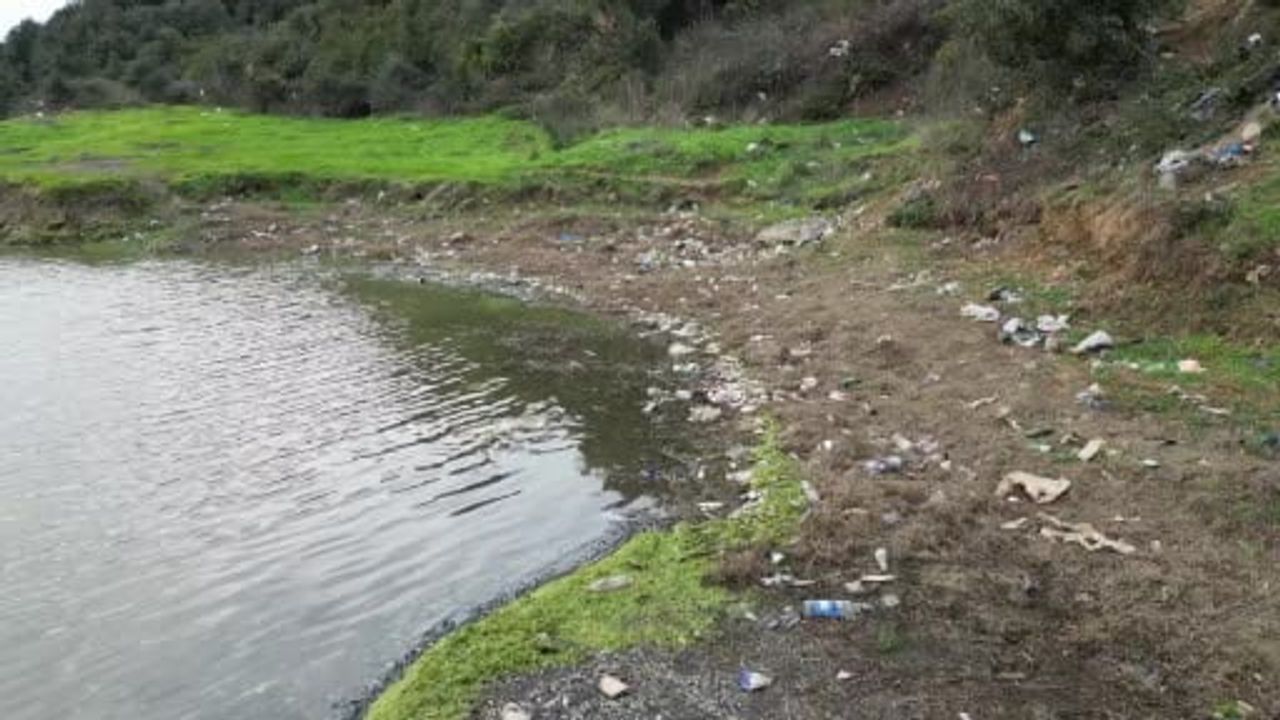 Eyüpsultan Pirinççi Mahallesi'ndeki gölette yosun patlaması sonucu çok sayıda balık telef oldu