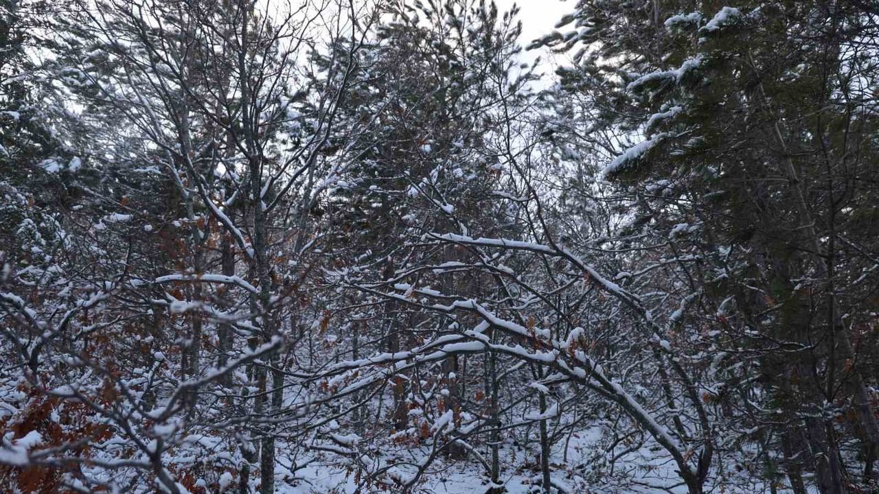 Feke Belediyesi, 1.600 rakımlı Mansurlu'da karla kaplı yayla ve ormanlardaki canlılara yem bıraktı