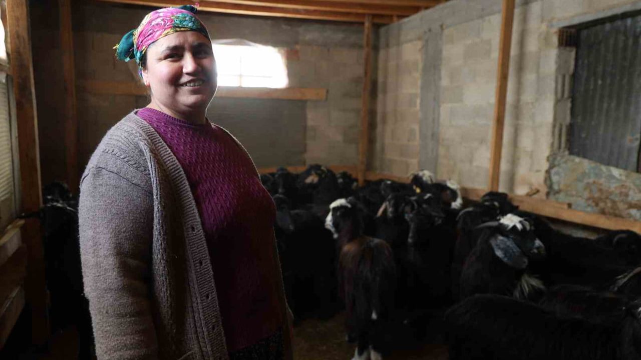 Feke'de kadın besici: 1600 rakımda 300 küçükbaşla zorlu kış mesaisi