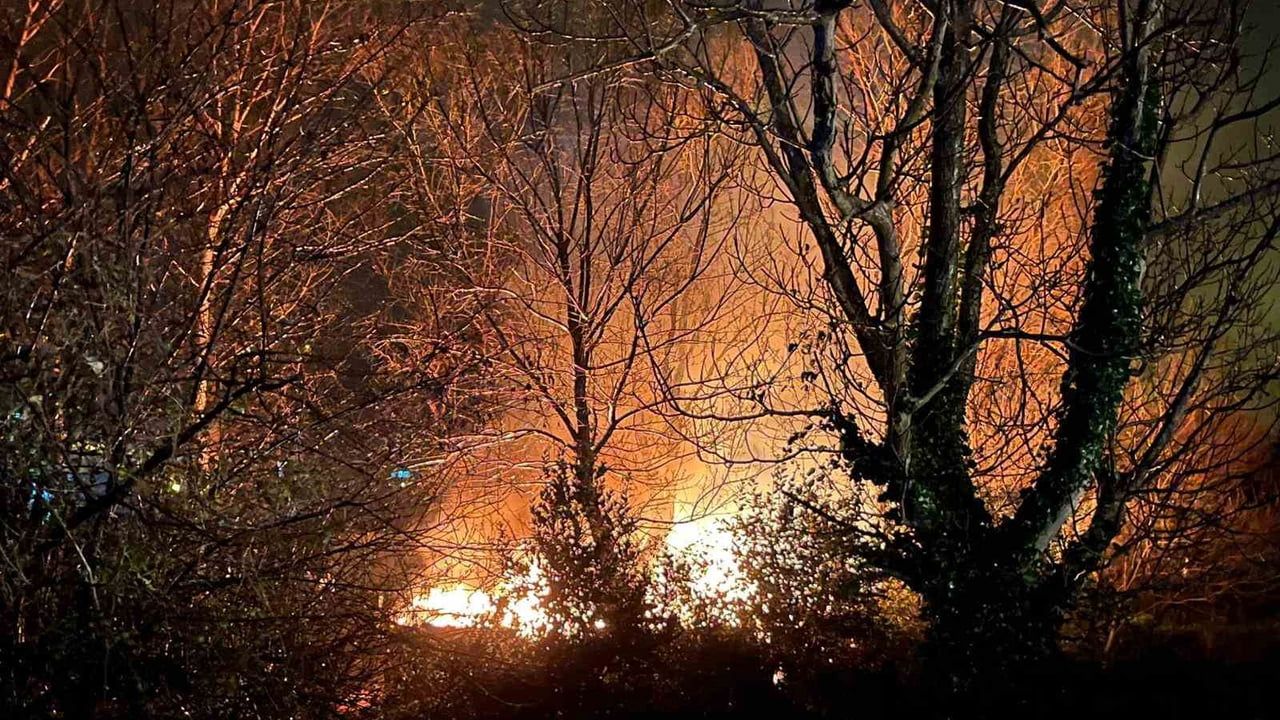 Filyos'ta ağaçlık alanda yangın kontrol altına alındı