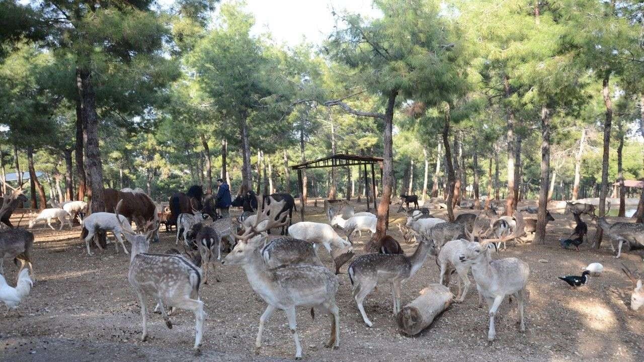 Gaziantep Doğal Yaşam Parkı 2025'te 5 milyon ziyaretçiyle rekor kırdı