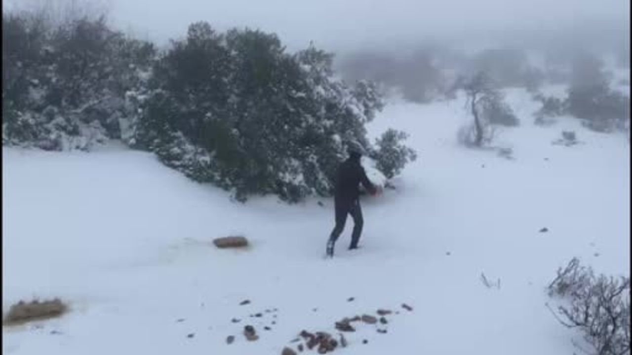 Gaziantep’te karlı havada aç kalan yaban hayvanları için Sof Dağı’na 300 kilo yem bırakıldı