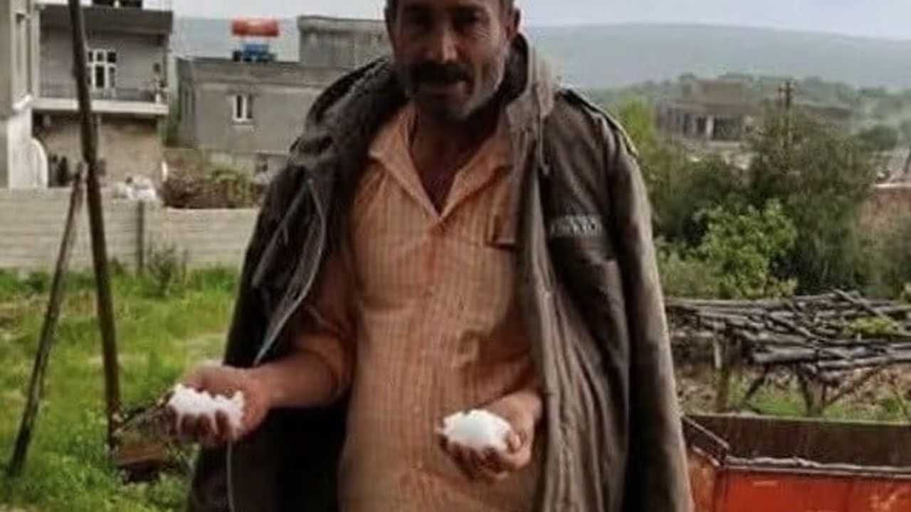 Gaziantep'te yem karma makinesine düşen besici hayatını kaybetti