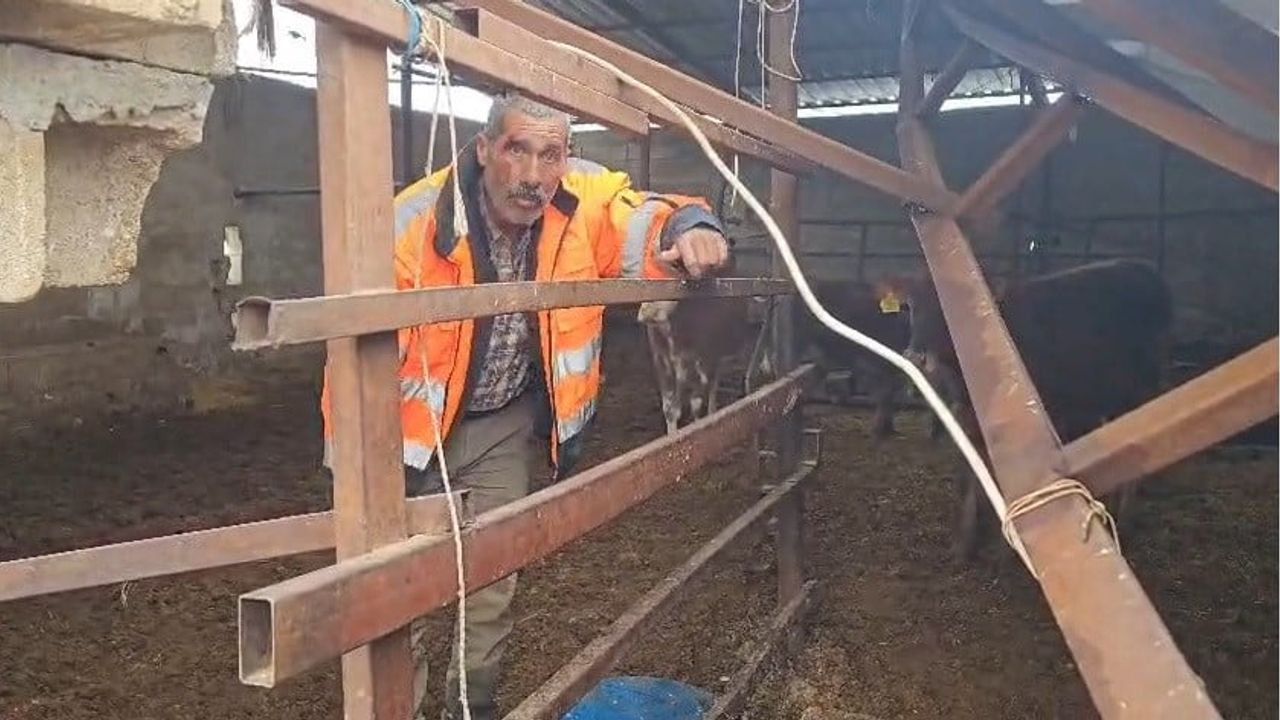 Gaziantep'te yoğun kar Sinsile Mahallesi'ndeki ahırın çatısını çöktürdü