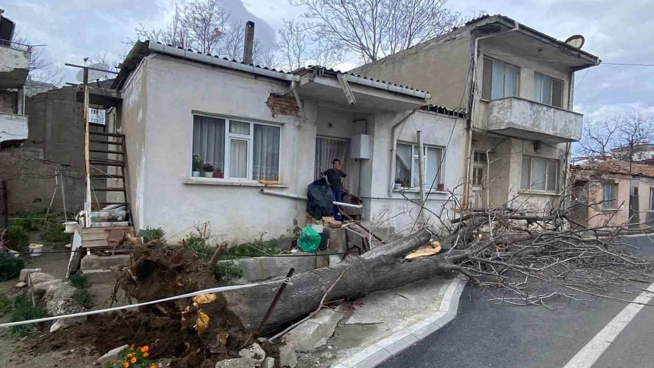 Gelibolu'da lodos fırtınası evin çatısını zedeleyen ağacı devirdi