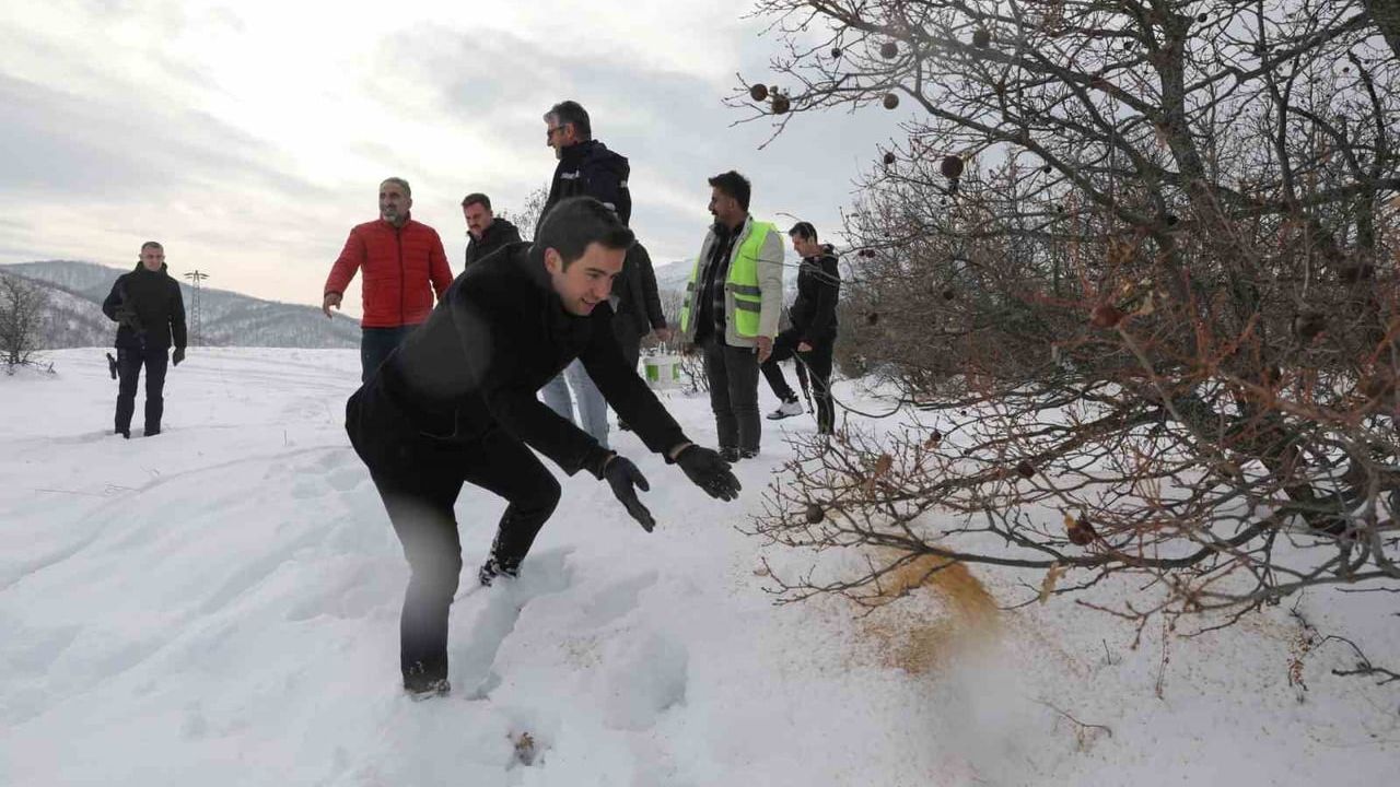 Genç'te yaban hayvanlarına kış desteği: Doğaya yem bırakıldı