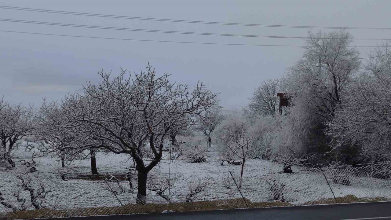 Gercüş'te sabah kar yağışı ilçeyi beyaza bürüdü