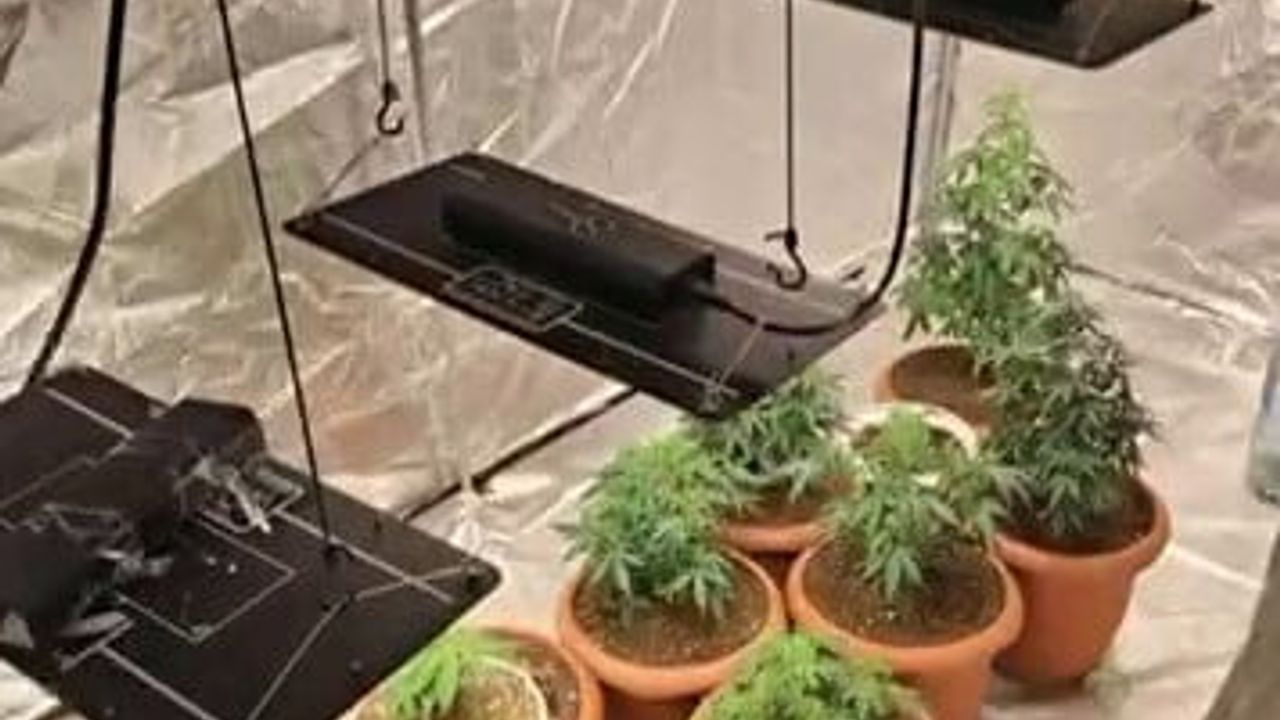 Geyve'de evin odasını uyuşturucu üretim alanına çeviren iki kişi gözaltına alındı