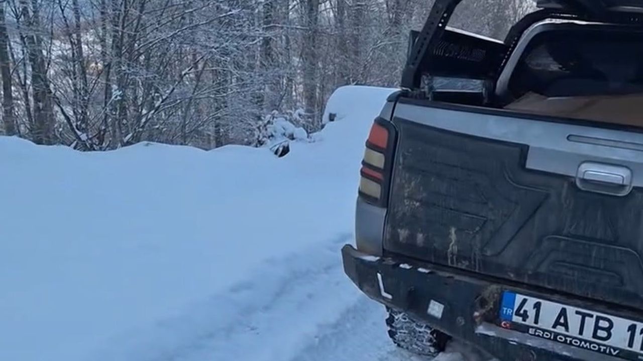 Geyve'de Vatandaş Yaban Hayvanları İçin Yem Bıraktı; İki Geyikle Karşılaştı