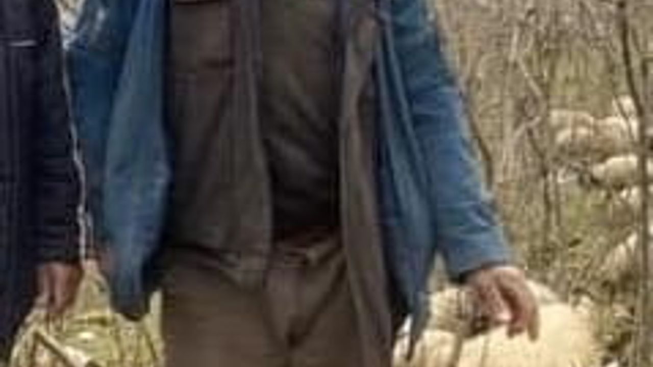 Giresun'da çığ: Güce'de bir çoban yaşamını yitirdi