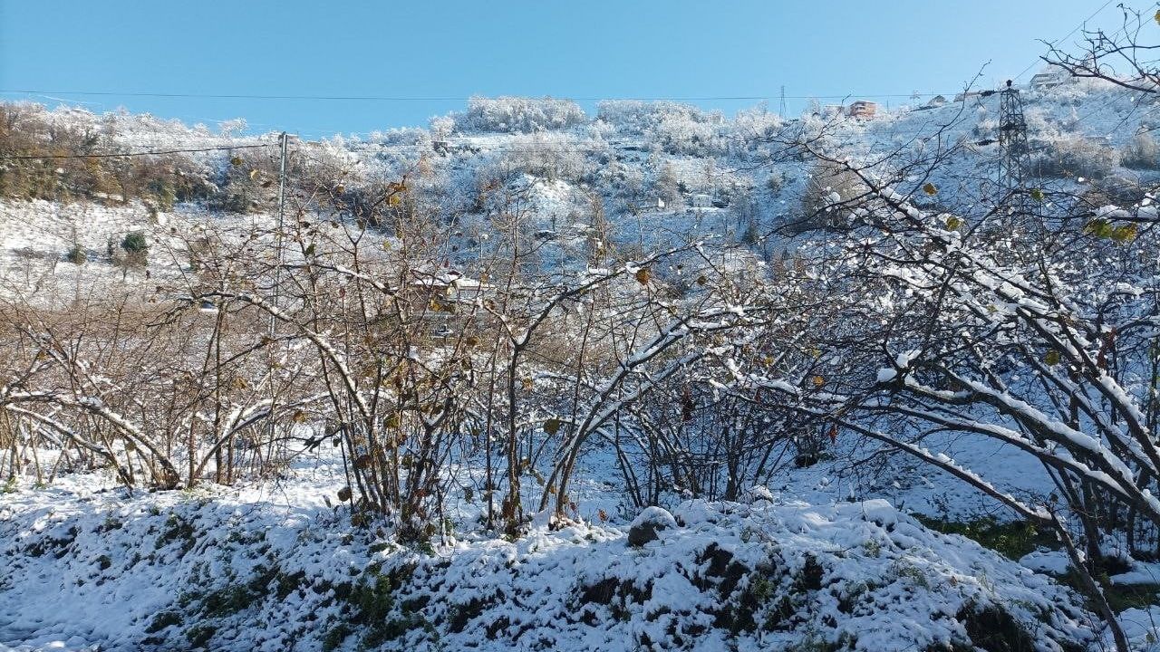 Giresun'da Mevsiminde Yağan Kar, Fındık Üreticilerine Umut Verdi