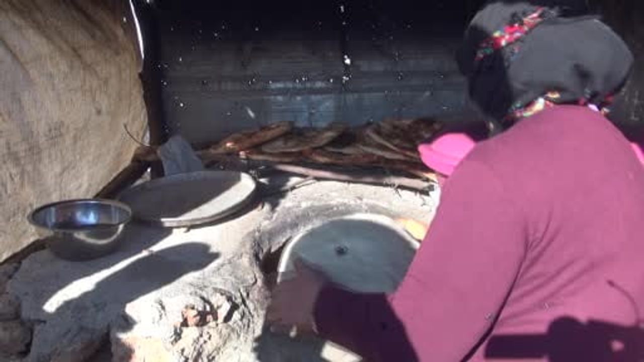 Göç yollarında bir ömür: Gabar Dağı eteklerinde konar göçerlerin sessiz direnişi