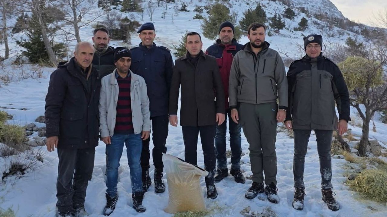 Gölbaşı'nda yoğun kar sonrası yaban hayvanlarına yem bırakıldı