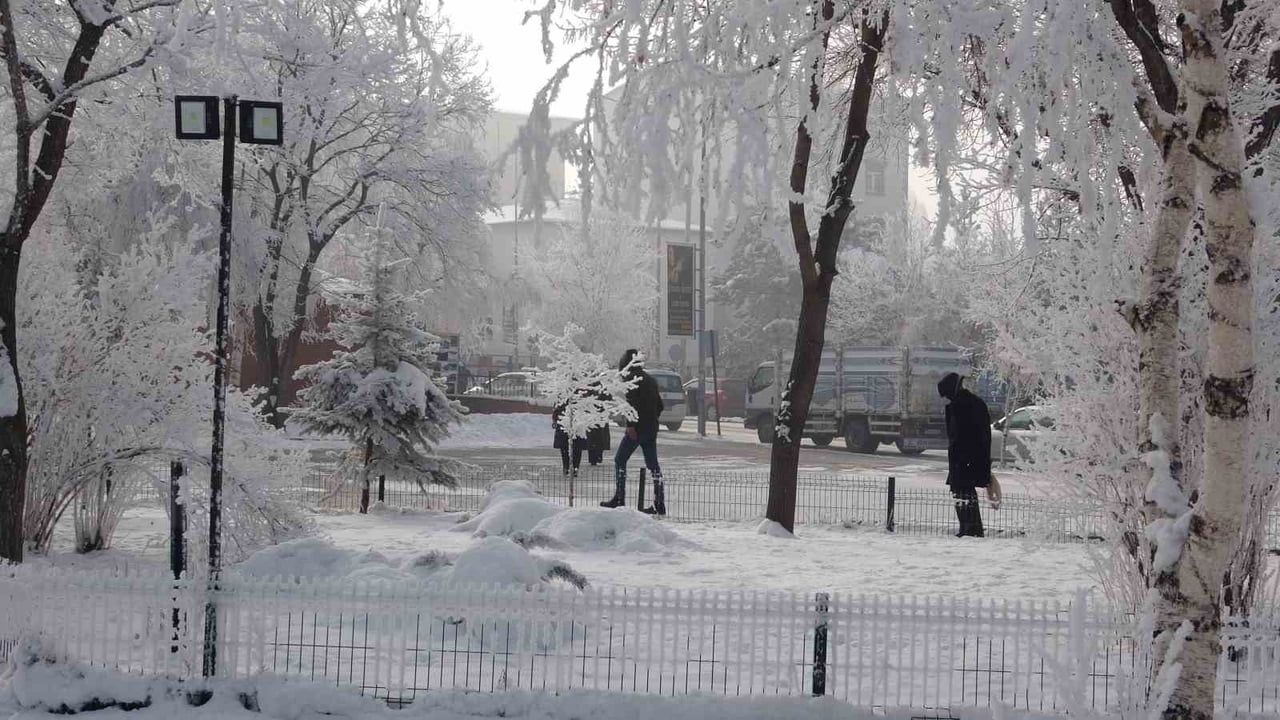 Göle'de kırağıyla beyaza bürünen ağaçlar: Hava sıcaklığı -20°C'ye düştü
