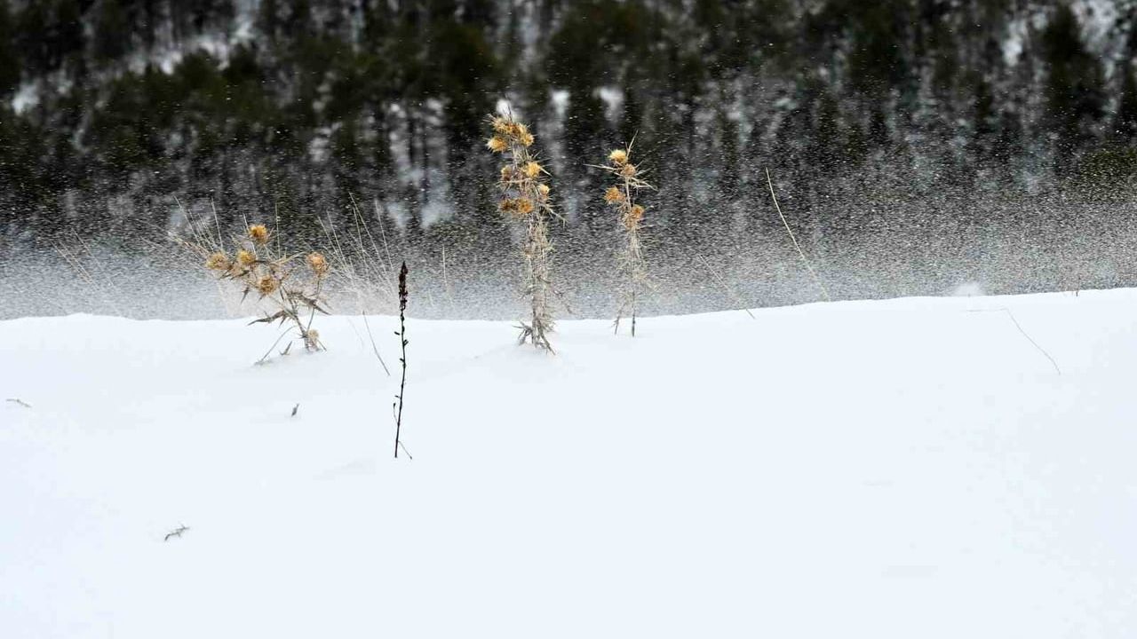 Gümüşhane'de beyaz yolculuk: GÜDAK 29 sporcu ile 11 km'lik kış yürüyüşünü tamamladı