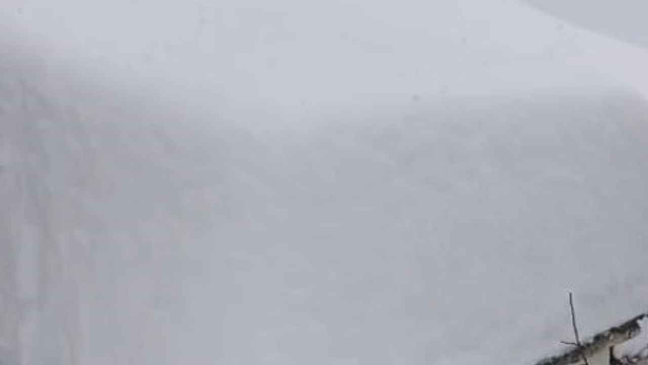 Gümüşhane Özkürtün'de 1 metreyi bulan kar nedeniyle yardım talebi