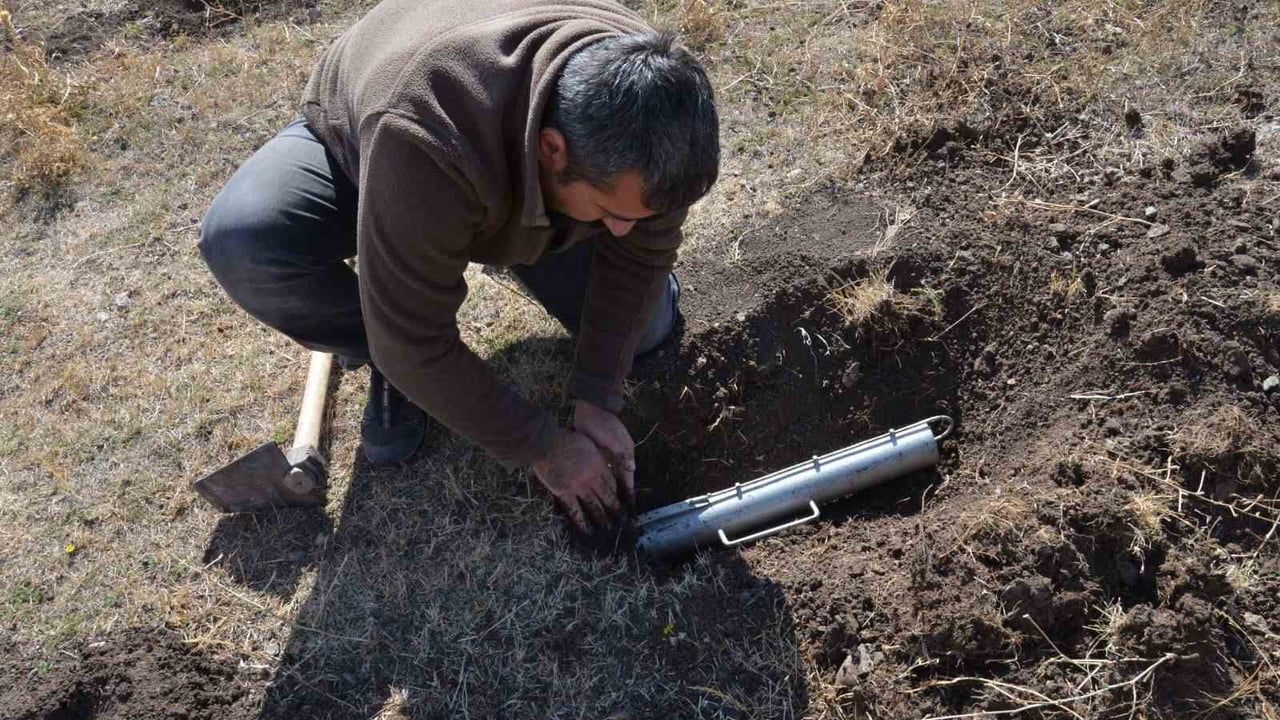 Güneydoğu Anadolu'da üç yeni endemik kör fare türü keşfedildi