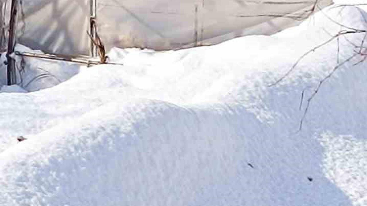 Hakkari Çimenli'de yoğun kar yağışı iki serayı çökertti