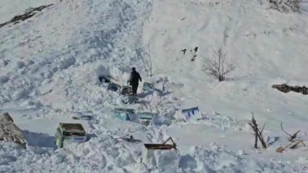 Hakkari’de Erziki Köprüsü yakınında 32 arı kovanı çığ altında kaldı