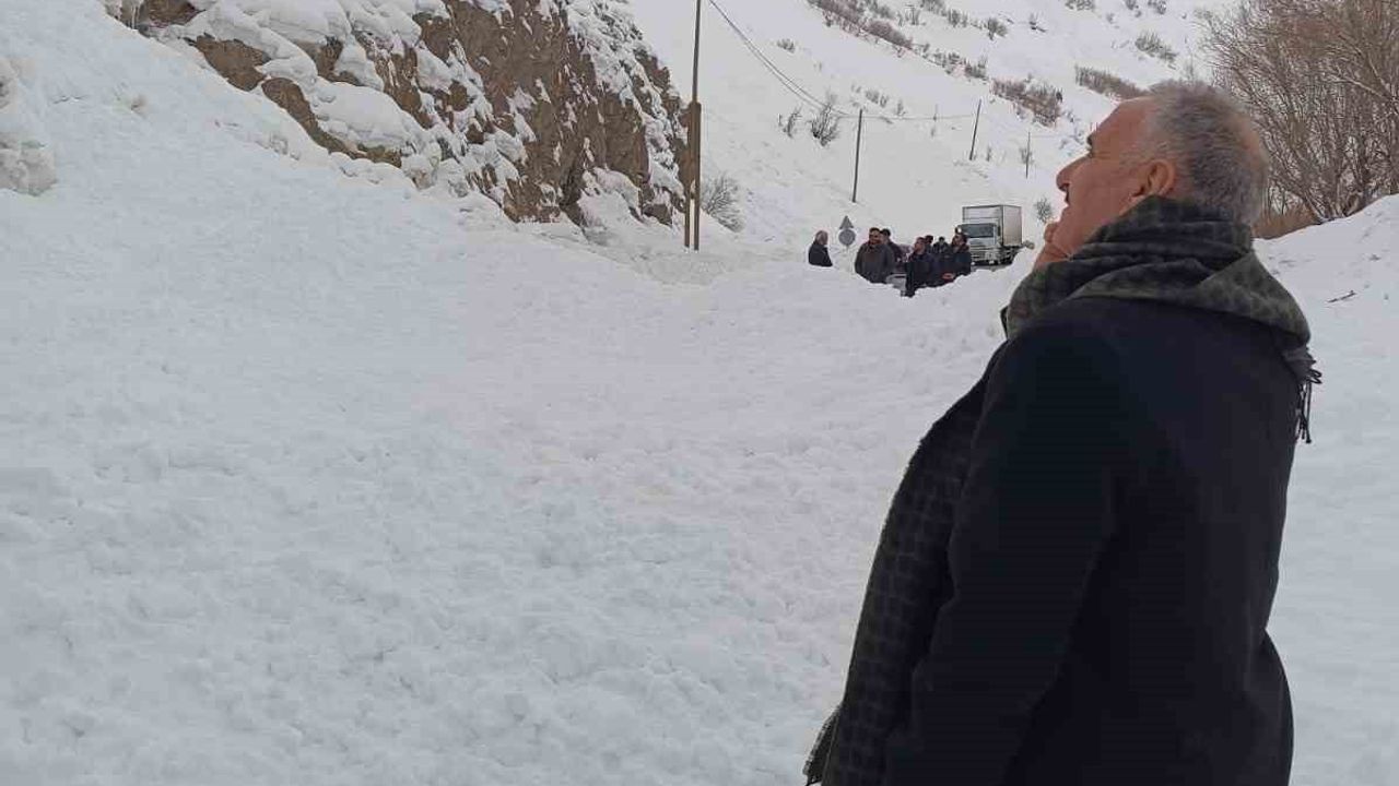 Hakkari-Van kara yolu çığ nedeniyle ulaşıma kapandı, onlarca araç mahsur