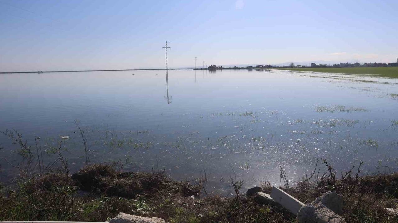 Hatay’da 2026 Yağışları Amik Ovası’ndaki Tarım Arazilerini Su Altında Bıraktı