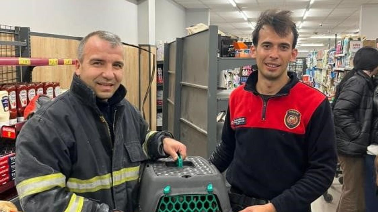 Hatay'da Marketin Havalandırma Boşluğunda Mahsur Kalan Kedi İtfaiye Tarafından Kurtarıldı