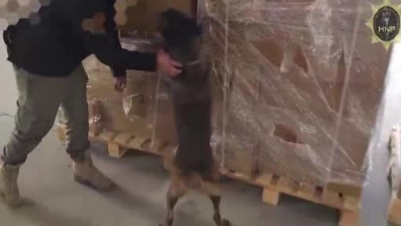 Hatay'da plastik pervanelere gizlenmiş 642 bin Captagon hap ele geçirildi