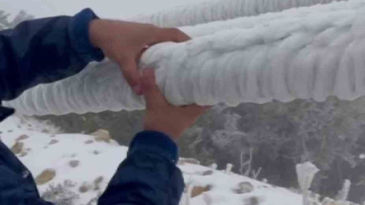 Hatay’da Tipi 100'den Fazla Elektrik Direğini Yıktı; Toroslar EDAŞ Hatları Buzdan Temizledi