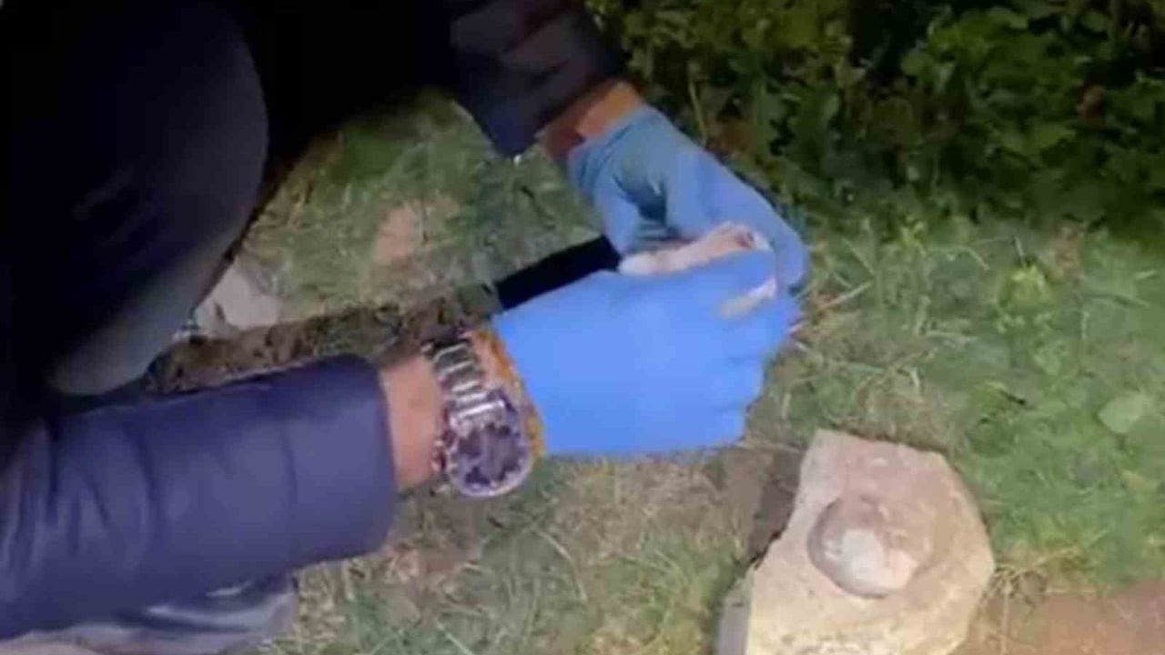 Hatay İskenderun'da operasyon: Esentepe'de taş altına saklanan satışa hazır uyuşturucu ele geçirildi