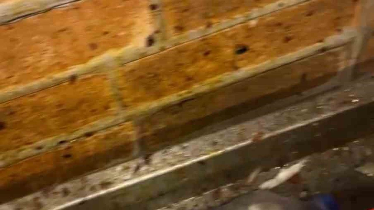 Hatay Primemall AVM'de zabıta denetimi: Restoranlarda hijyen eksiklikleri ve böcek yuvaları tespit edildi