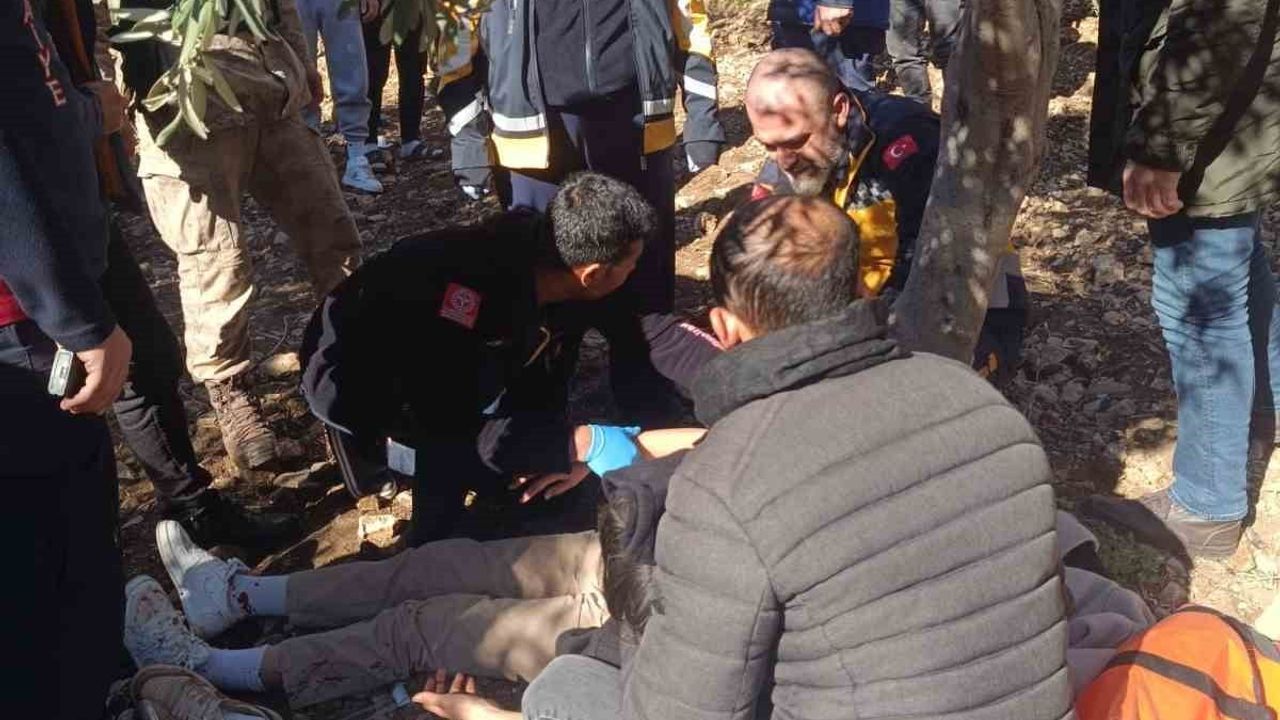 Hatay Yayladağı'nda öğrenci servisi zeytinliğe uçtu: 5 kişi yaralandı