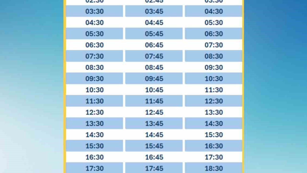 HAVAMAŞ, Çukurova’dan Çukurova Uluslararası Havalimanı’na Sefer Başlattı