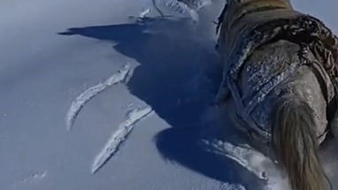 Hizan'da yoğun kar nedeniyle mahsur kalan at ve katırlar güvenlik korucuları tarafından kurtarıldı