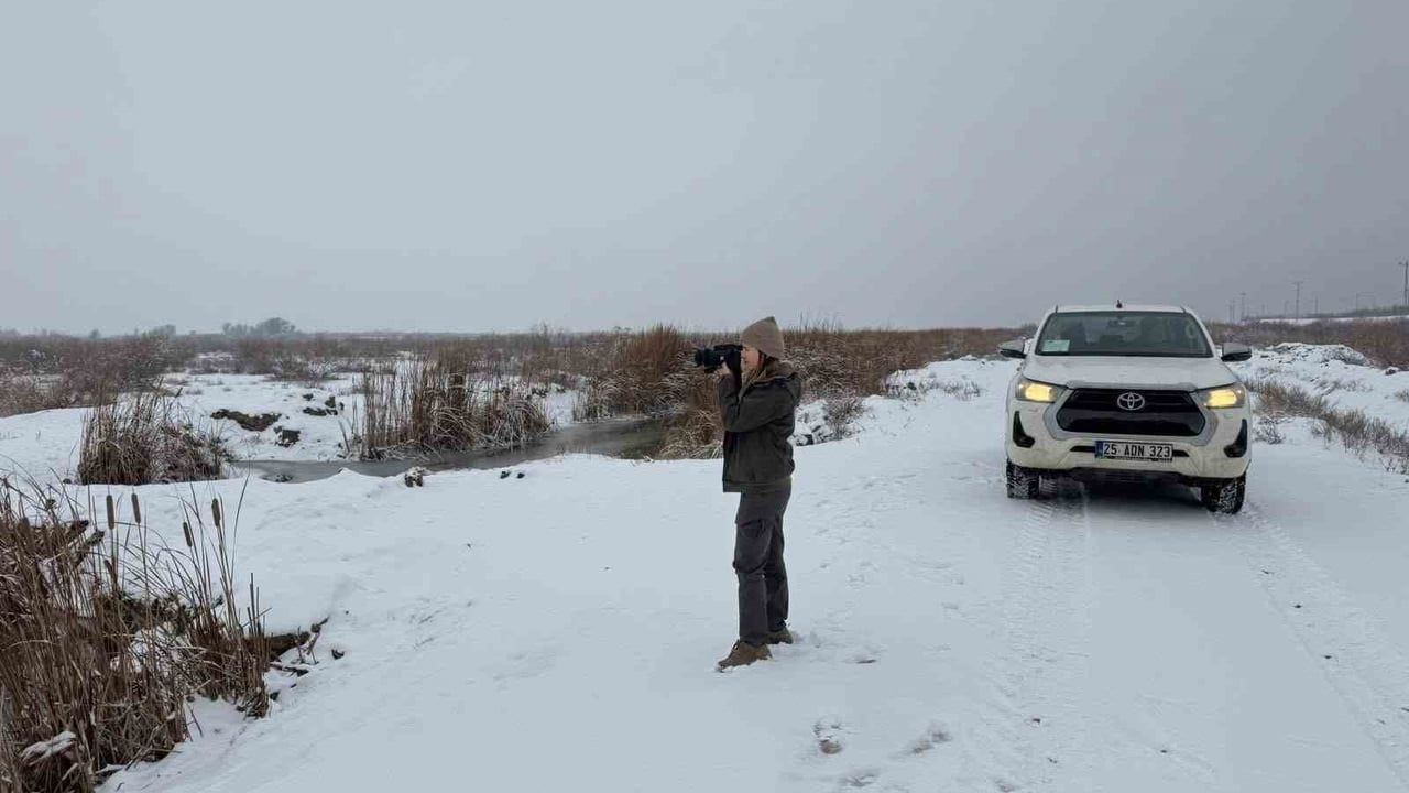 Iğdır'da belgesiz avlanan kişiye idari yaptırım uygulandı