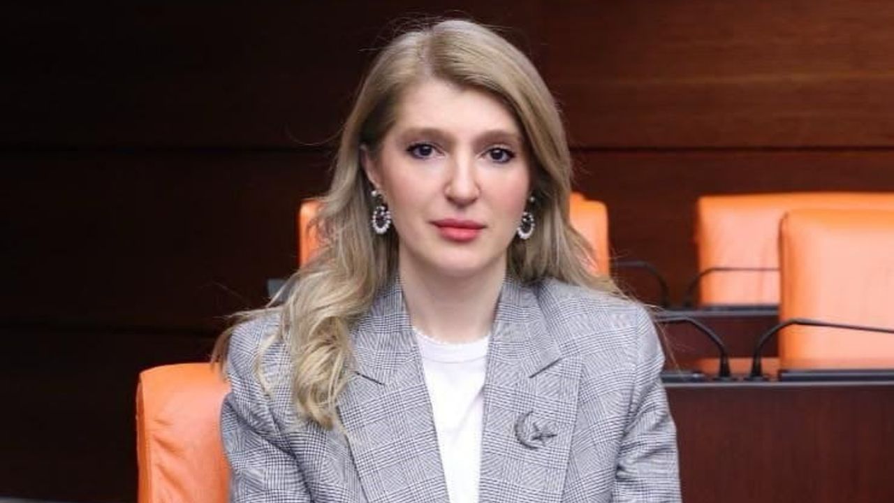 İnanç Siraç Kara Ölmeztoprak: TBMM değerlendirmesi, Malatya rezerv alanları, yangın ve koordinasyon