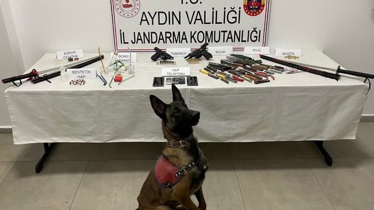 İncirliova'da jandarma operasyonunda uyuşturucu ve silah ele geçirildi