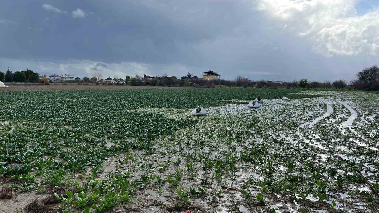 İncirliova’da sağanak hayatı aksattı; cadde ve tarım arazileri su altında kaldı