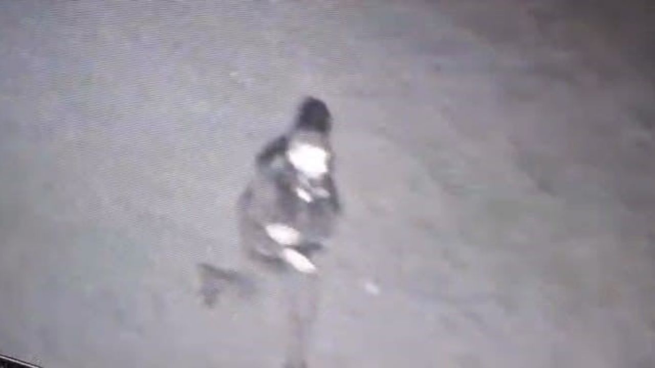 İnegöl'de polis kılığına girilerek 3 milyon TL değerinde 400 gram altın çalındı; iki şüpheli Kocaeli'de yakalandı