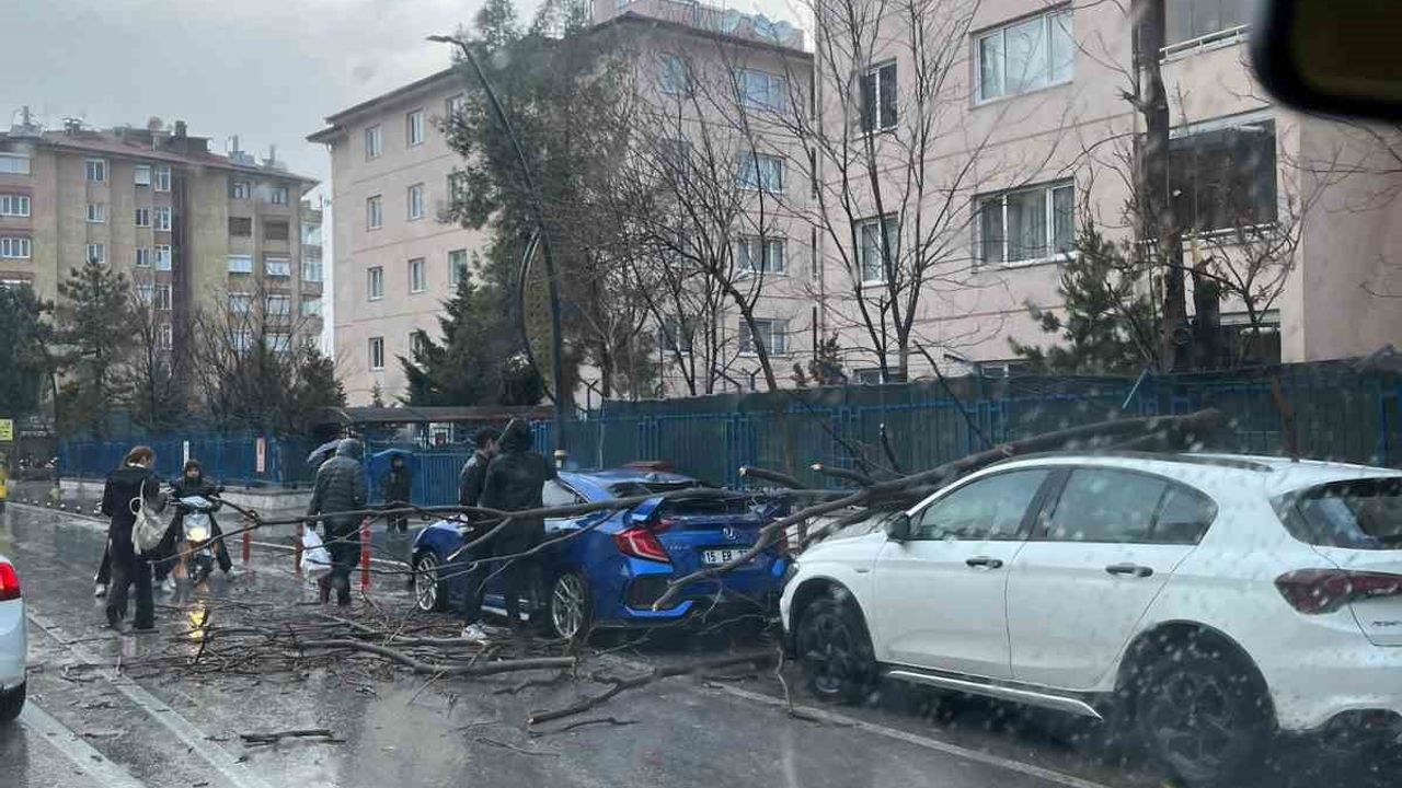 Isparta'da kuvvetli rüzgar ağaçları devirdi, park halindeki araçlar maddi hasar gördü