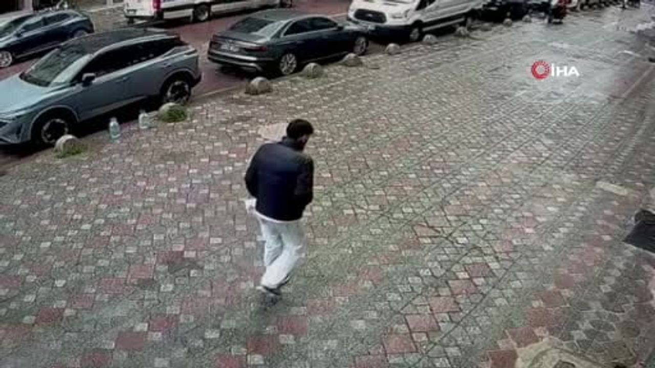 İstanbul’da lodos: Bayrampaşa’da ağaç devrildi, Zeytinburnu’nda saksı düştü