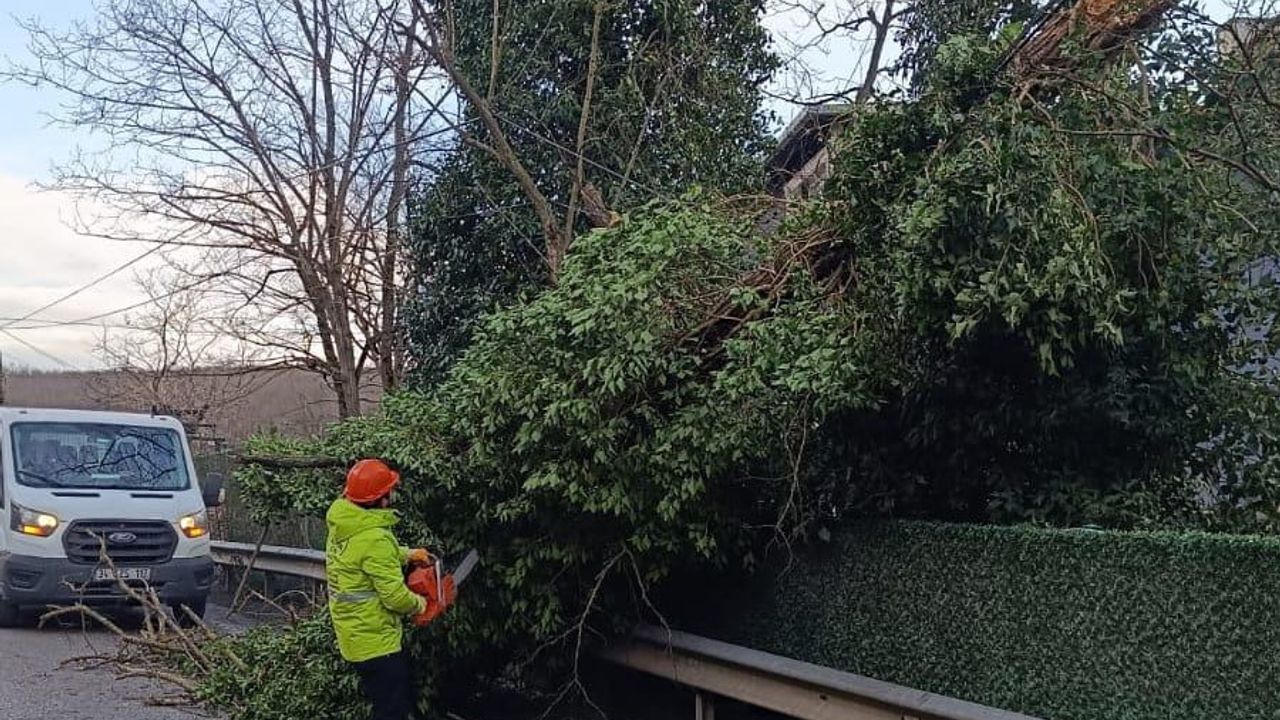 İstanbul'da lodos uyarısı: Fırtına nedeniyle geniş önlemler ve ulaşım kesintileri