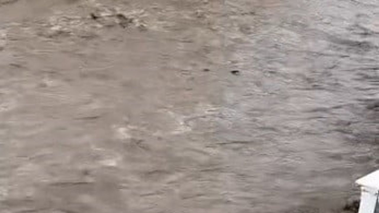 İzmir'de sağanak: Menderes'te sokaklar göle döndü, Ödemiş'te tarım arazileri su altında