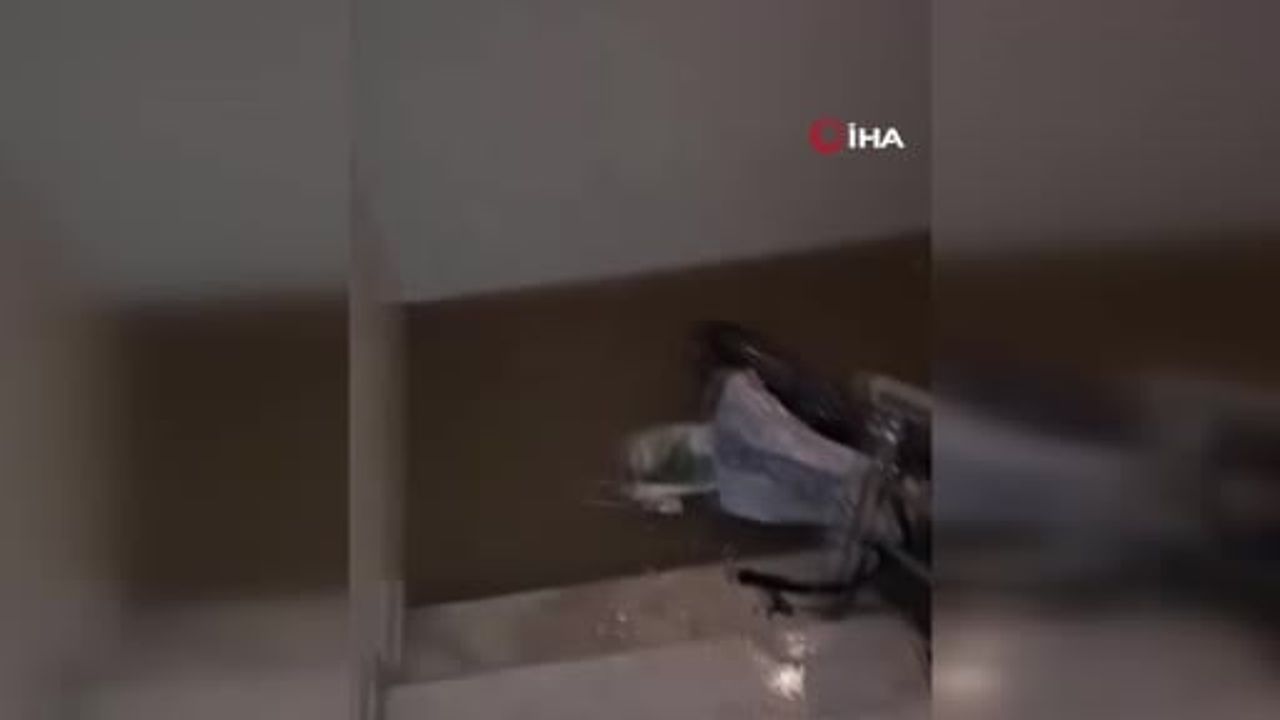 İzmir’de Sağanak Sele Dönüştü: Buca'da 80, Konak'ta 63 kg/m² Yağış, Ev ve İş Yerleri Sular Altında