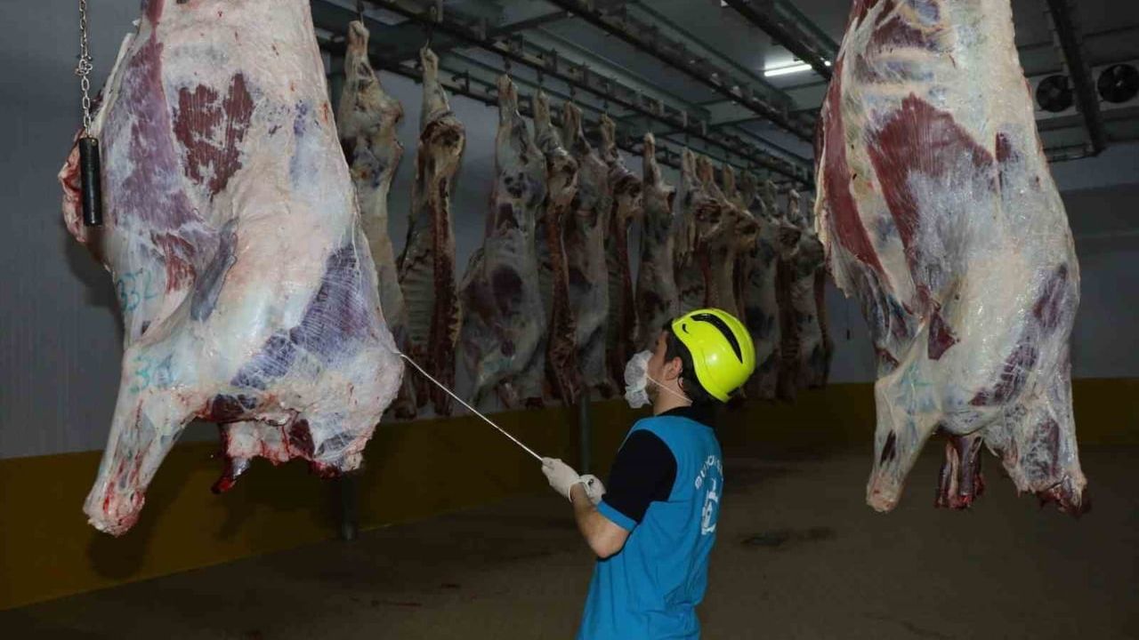 İzmit Büyükşehir Mezbahasında 2025'te 6.029 Kesim: 1.713.933 kg Et Kasaplara Teslim Edildi