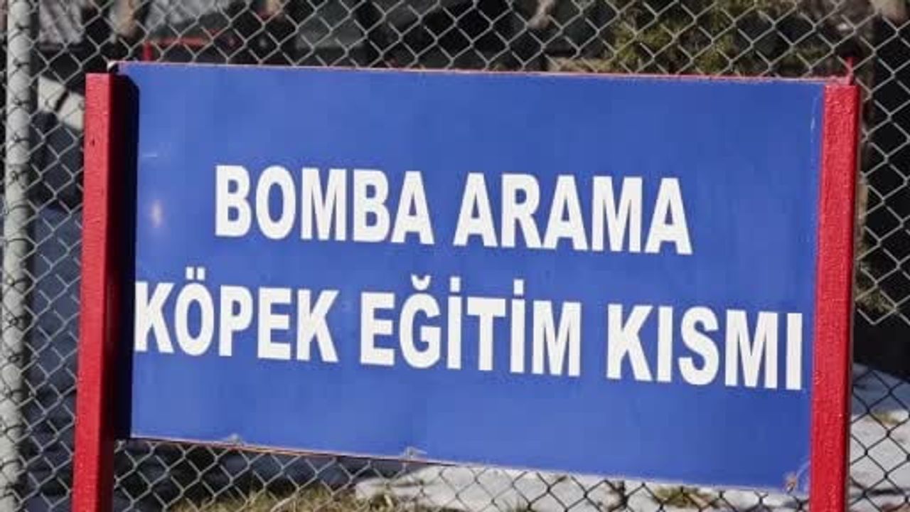 JAKEM'de görev köpekleri Nevşehir'de kapsamlı eğitimden geçiriliyor