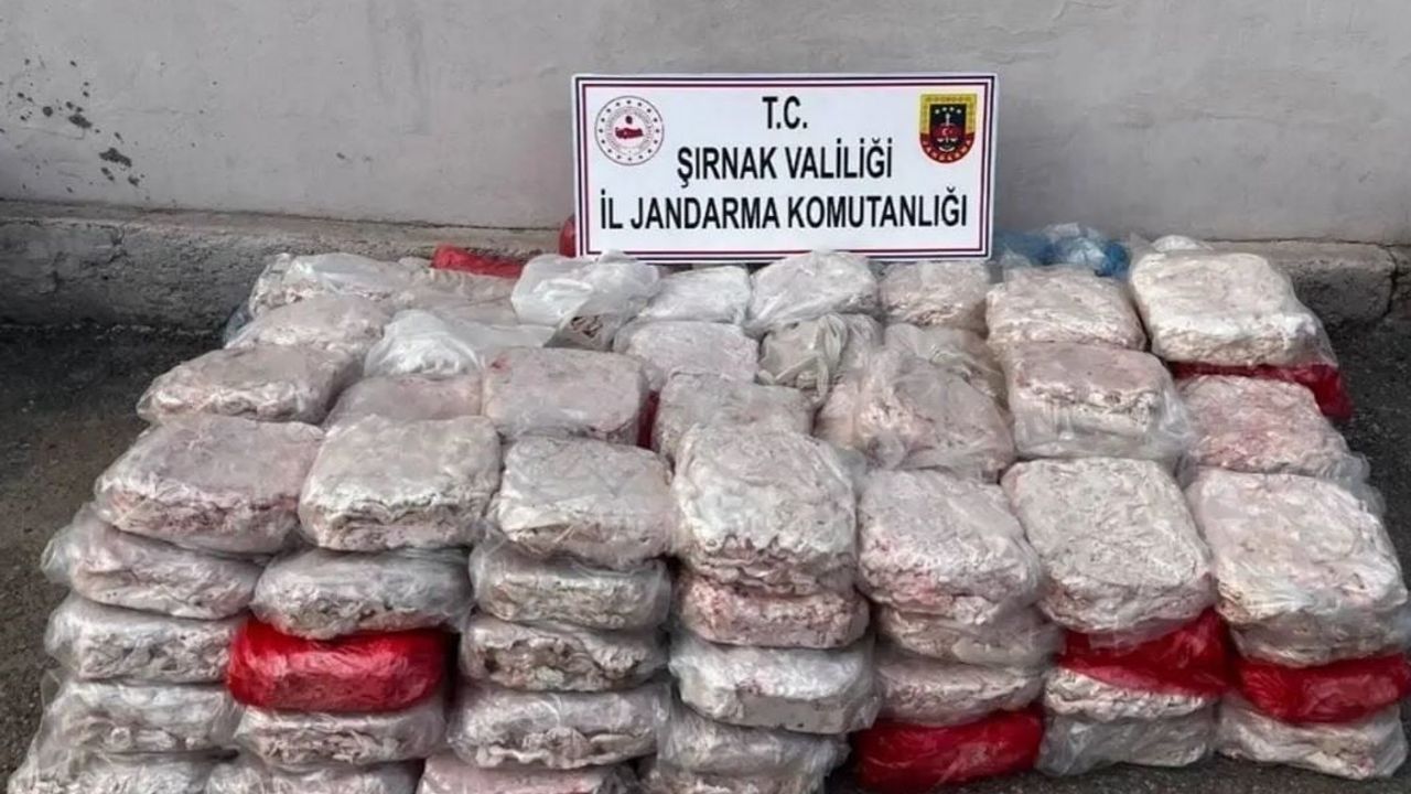 Jandarma, 2025’te Şırnak’ta uyuşturucuya yönelik operasyonlarda önemli sonuçlar elde etti