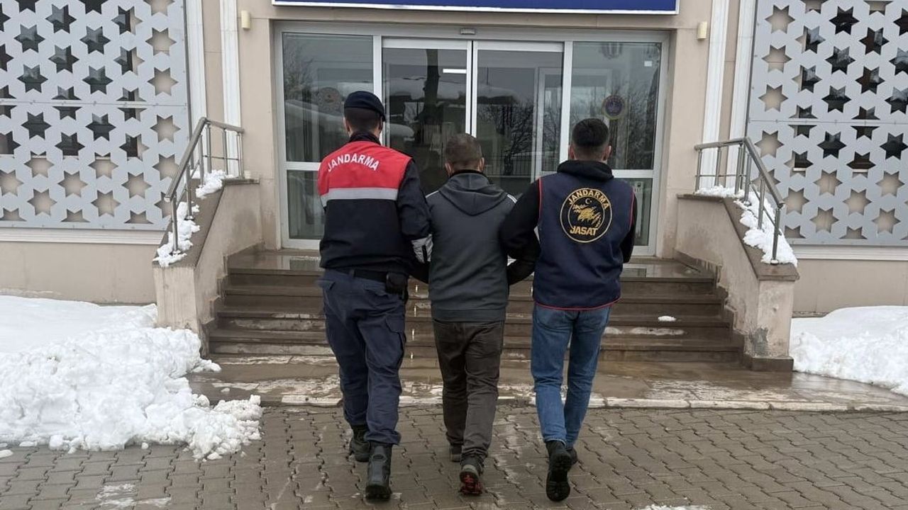Kahramanmaraş’ta jandarma operasyonunda 12 şahıs cezaevine gönderildi