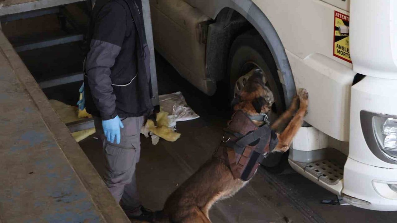 Kapıkule Sınır Kapısı’nda 144 kilo 732 gram esrar ele geçirildi