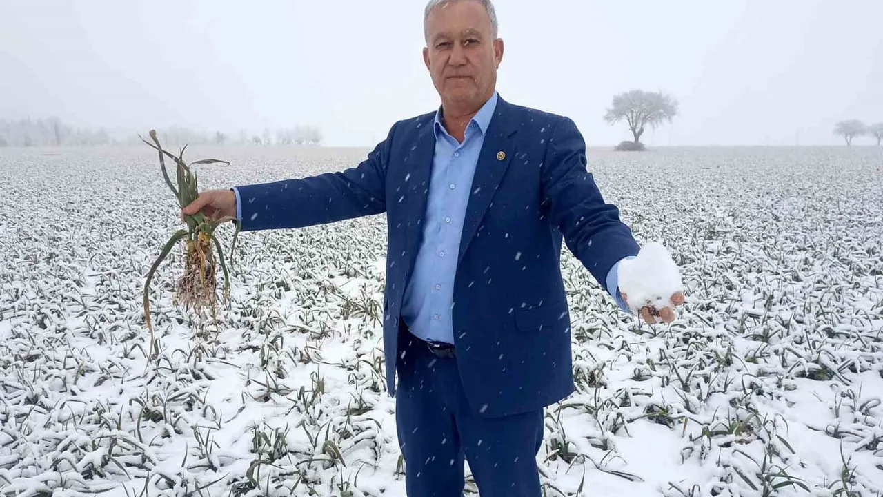 Kar Yağışı Araban Sarımsağı Üreticisini Umutlandırdı: Rekolte ve Verim Artışı Beklentisi